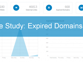 Case Study mit Expired Domains: 301 Weiterleitungen Ja/Nein