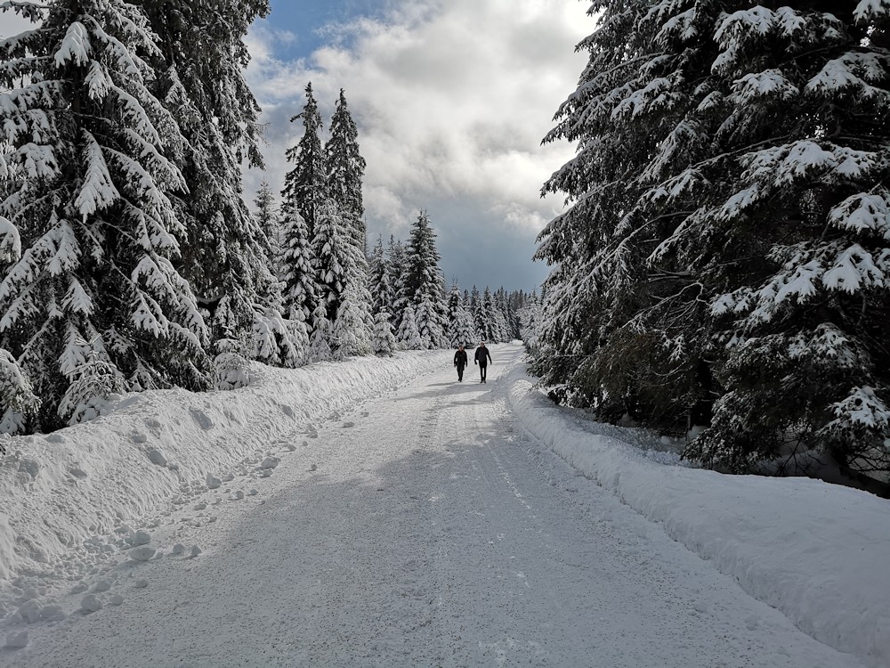 brockenwanderung